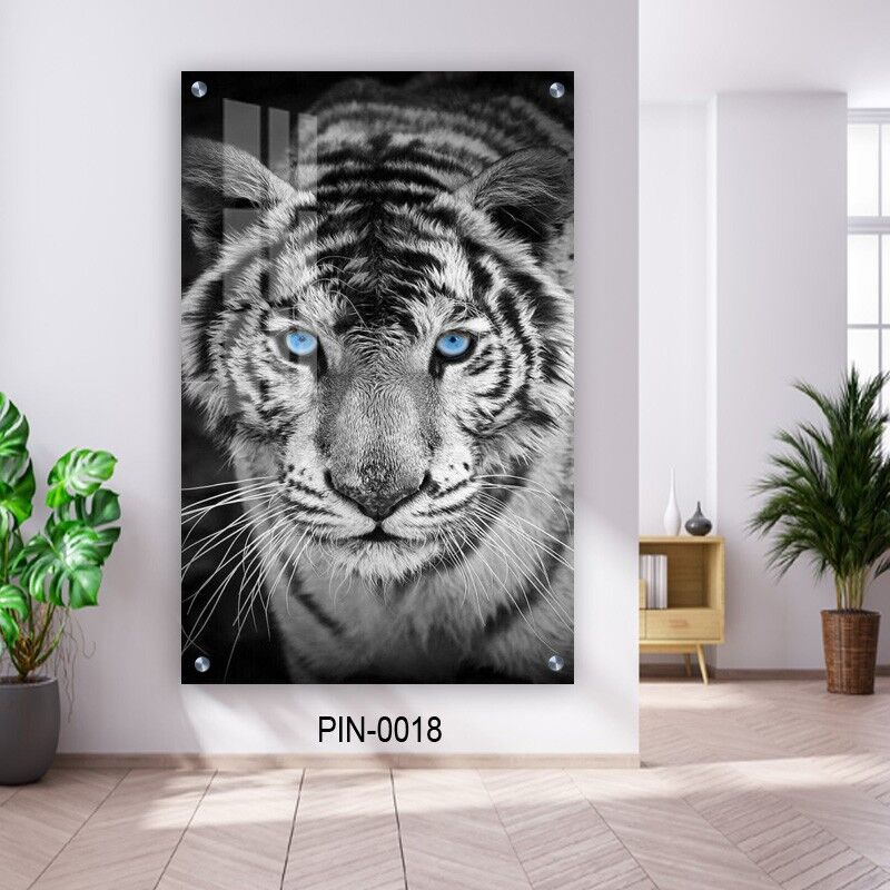 תמונת זכוכית לחדר שינה עייני הנמר