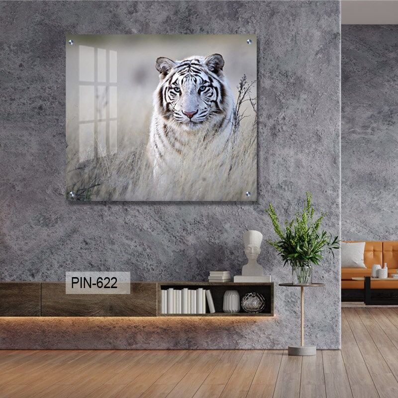 תמונת זכוכית מרובעת לסלון של נמר לבן