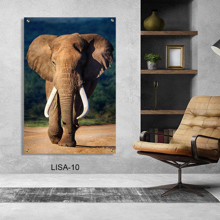 פיל גדול תמונת זכוכית לחדר שינה או למשרד