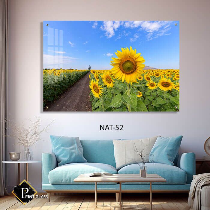 תמונת זכוכית לחדר שינה של חמניות