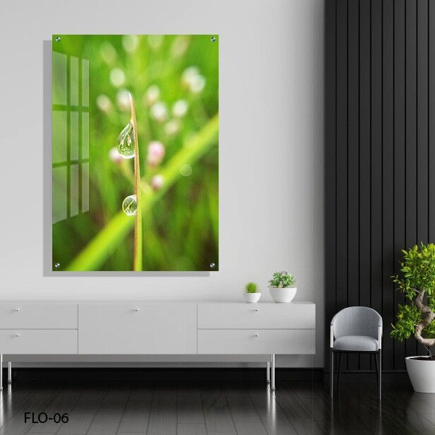 תמונת זכוכית למשרד טיפות טל על עלה ירוק