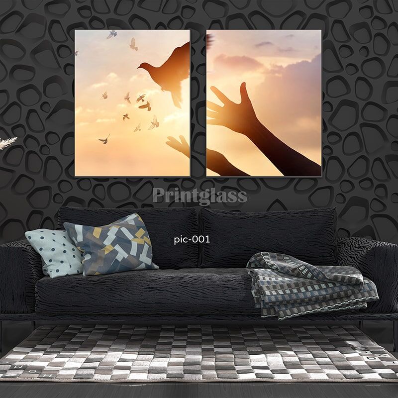 זוג תמונות לסלון