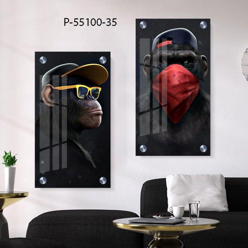 תמונות קופים