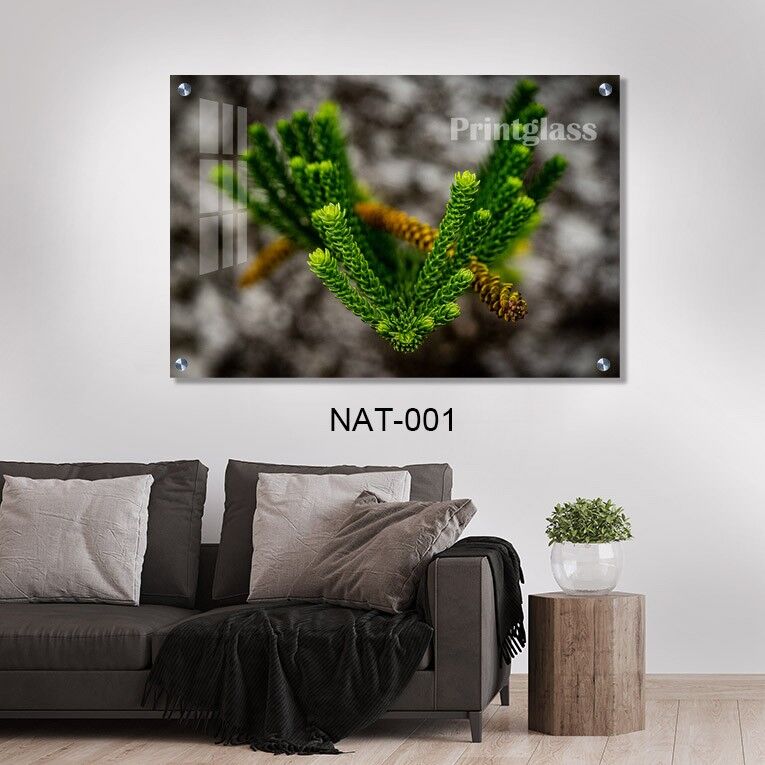 זכוכית עלה ירוק