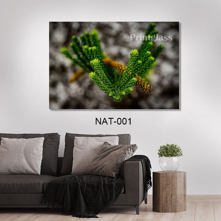 זכוכית עלה ירוק