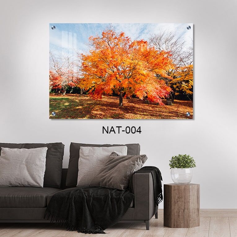 תמונת זכוכית