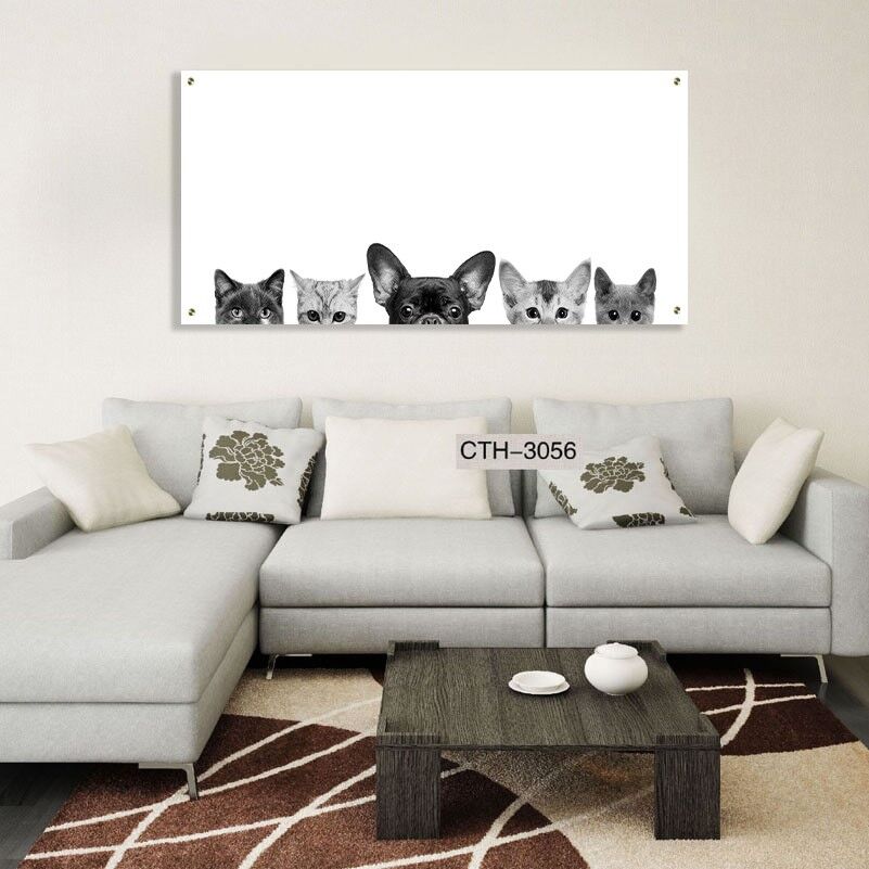 תמונה של חתולים למשרד