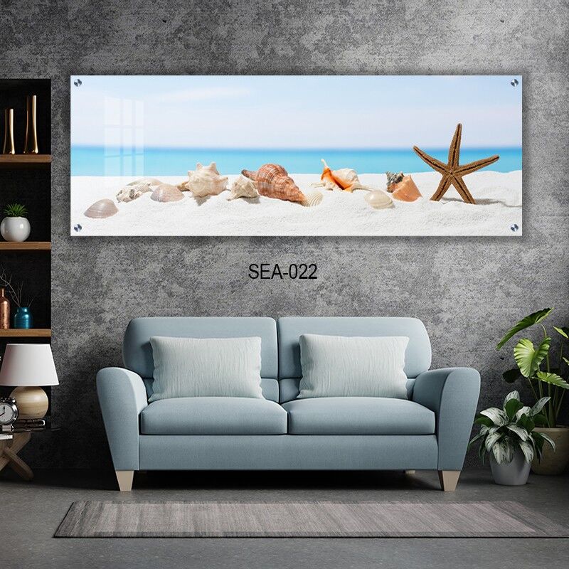 תמונת זכוכית לסלון צדפות בים