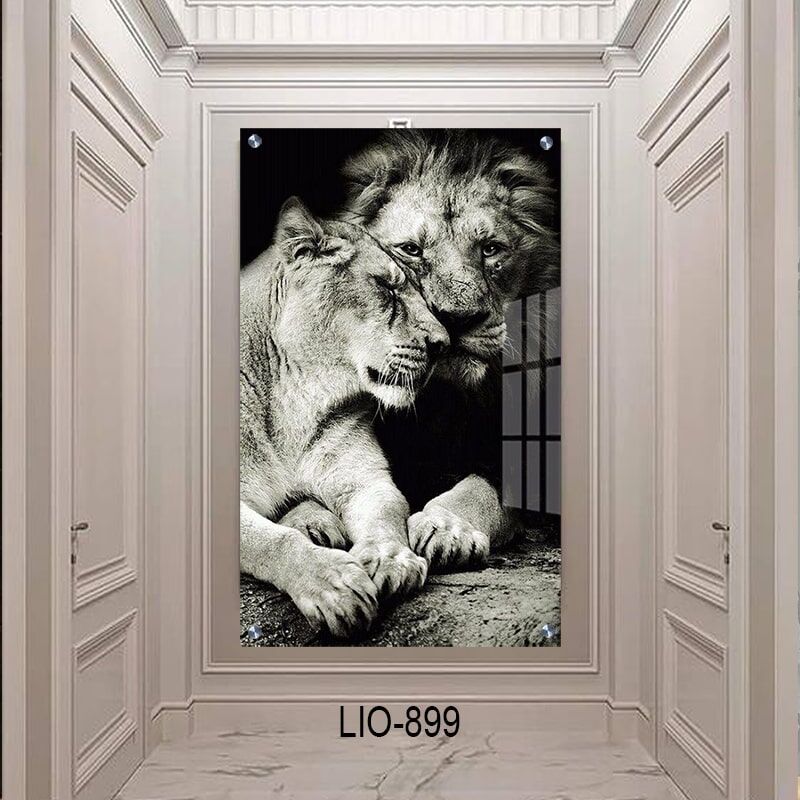 תמונה על זכוכית - אריה מאוהב