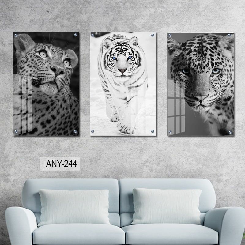 תמונות לסלון