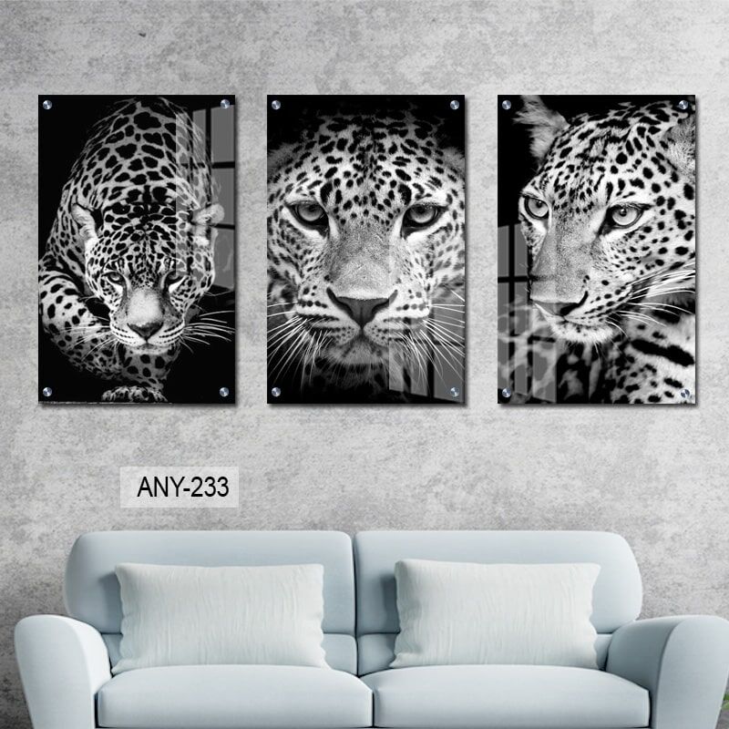 תמונת זכוכית