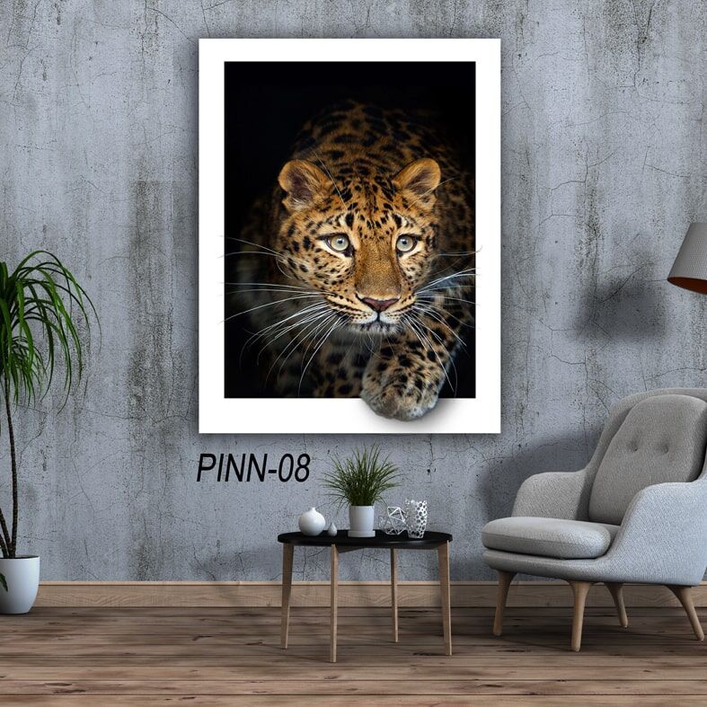 תמונה על זכוכית - נמר סקרן