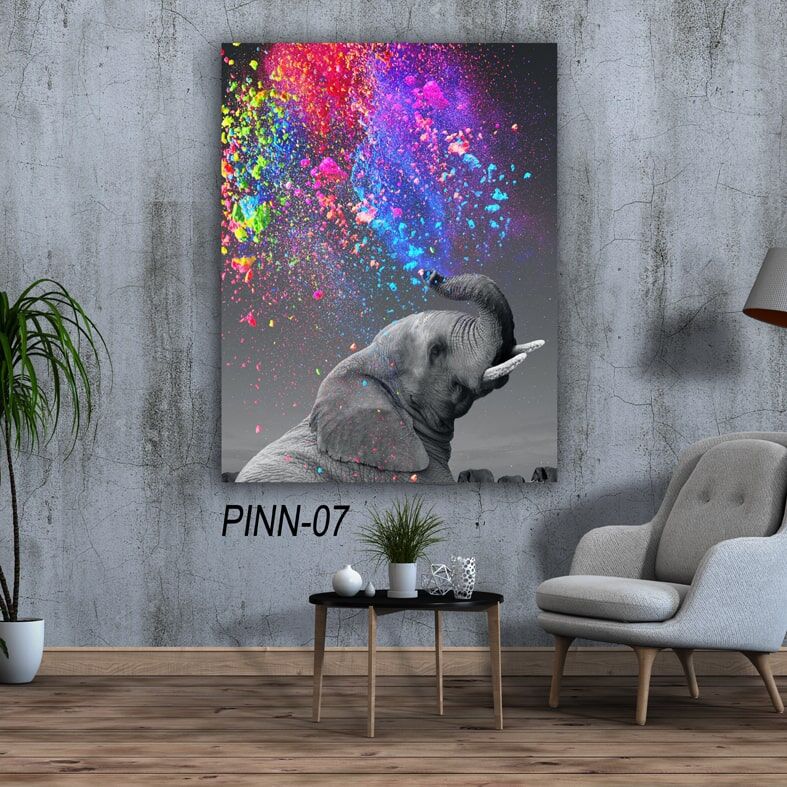 תמונה על זכוכית - פיל קונפטי