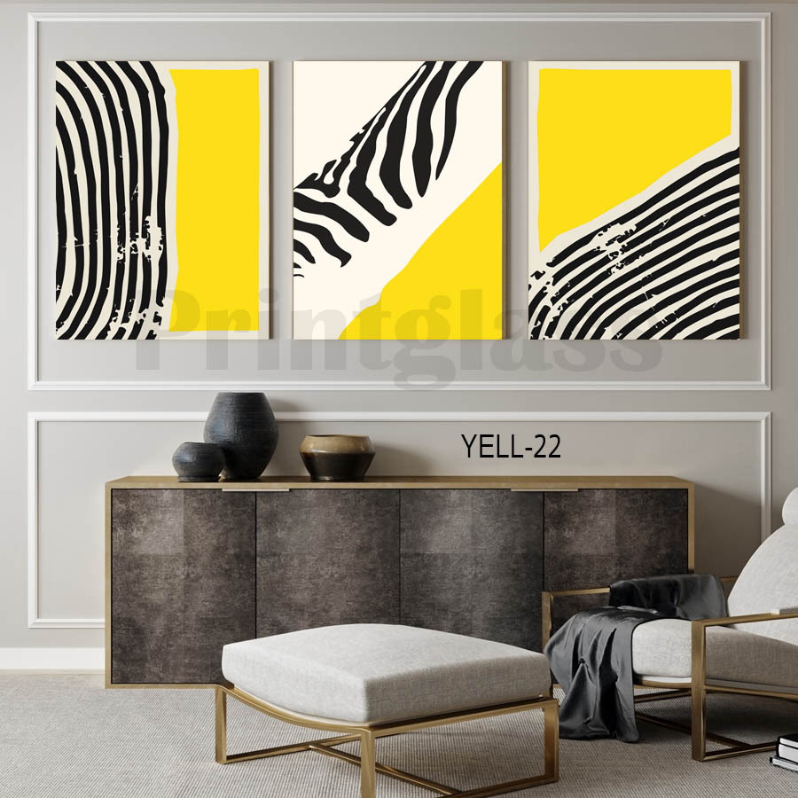 תמונה מחולקת