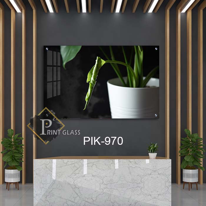 תמונות זכוכית לסלון או למשרד או לחדק שינה של אגרטל צמחים