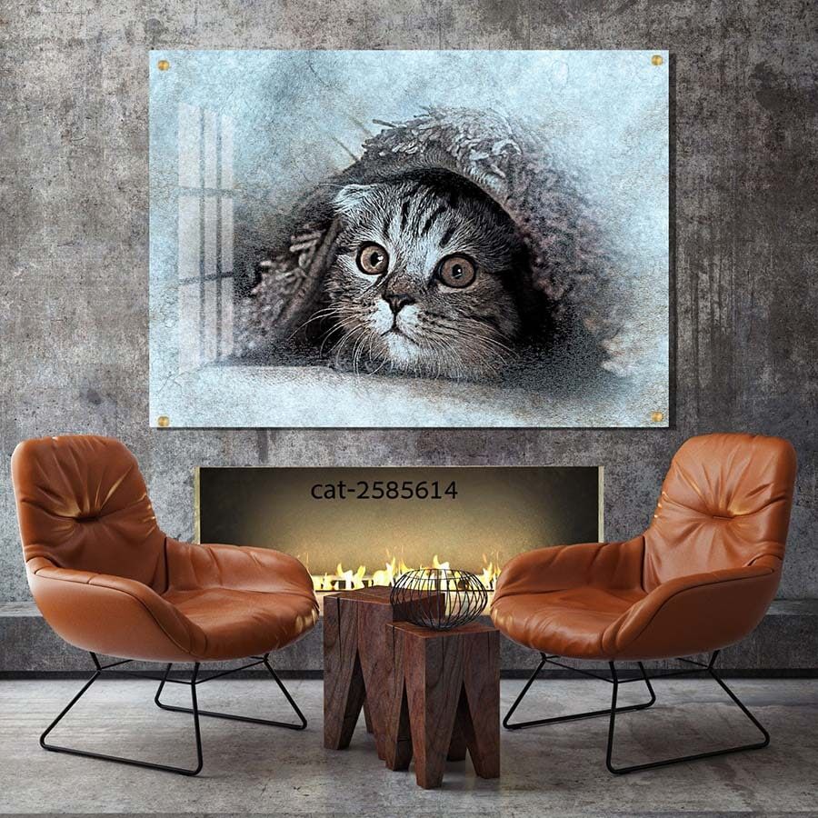 תמונת זכוכית למשרד או לחדר שינה של חתול מתחת לשמיכה