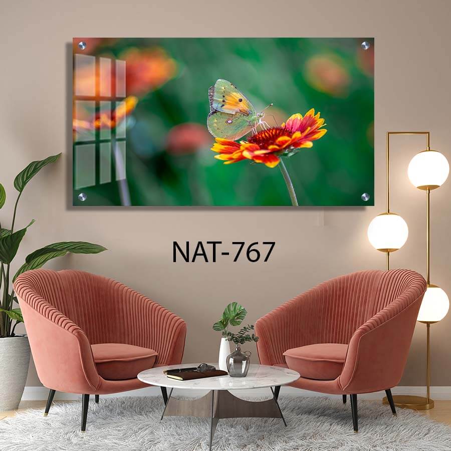 תמונת זכוכית לסלון או לחדר שינה של פרפר על פרח