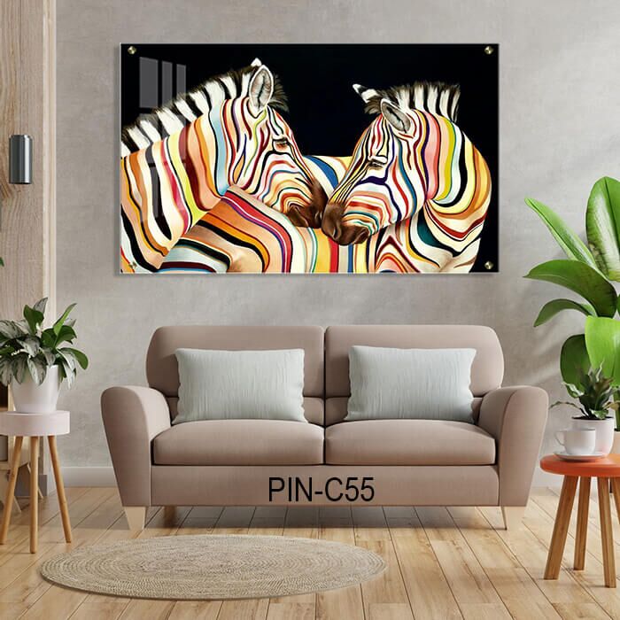 זברות צבעוניות