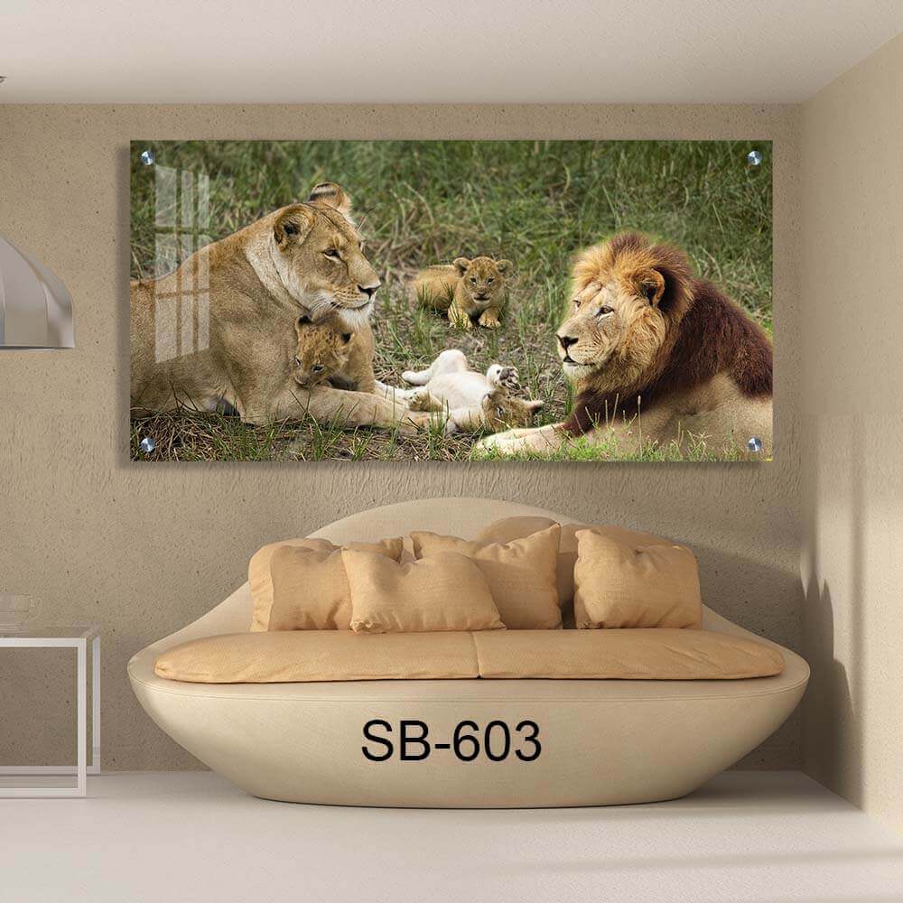 משפחת אריות