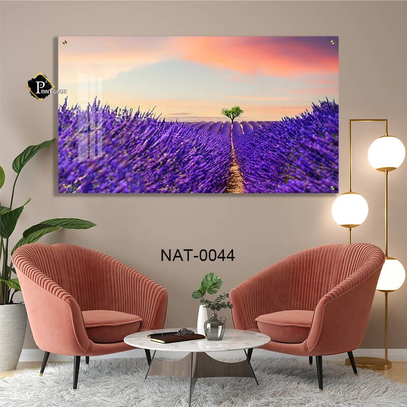 שקיעת לבנדר