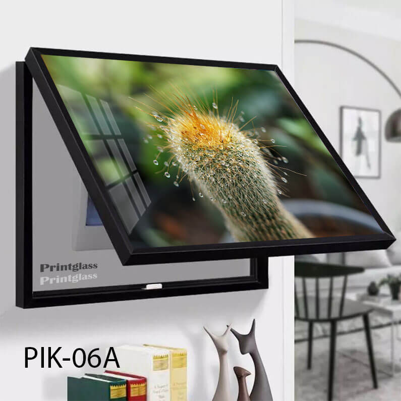 כיסוי ארון חשמל ותקשורת בעל הדפסה על זכוכית של קקטוס