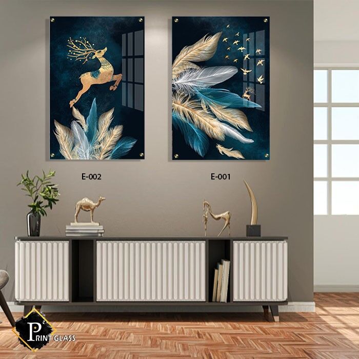 אייל קופץ מעל נוצות - תמונות לסלון - תמונות זכוכית