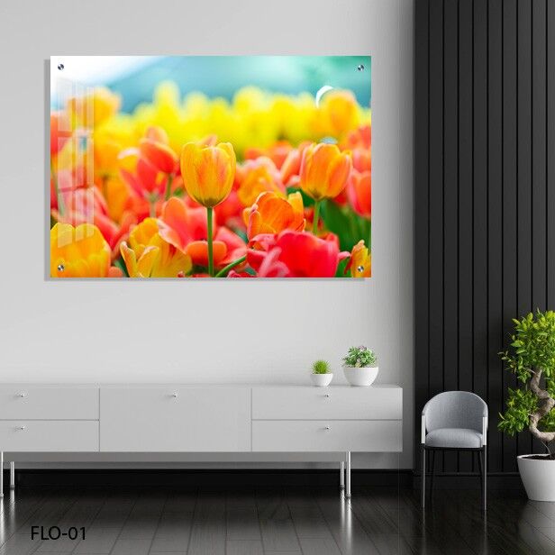 תמונה של פרחים צבעוניים