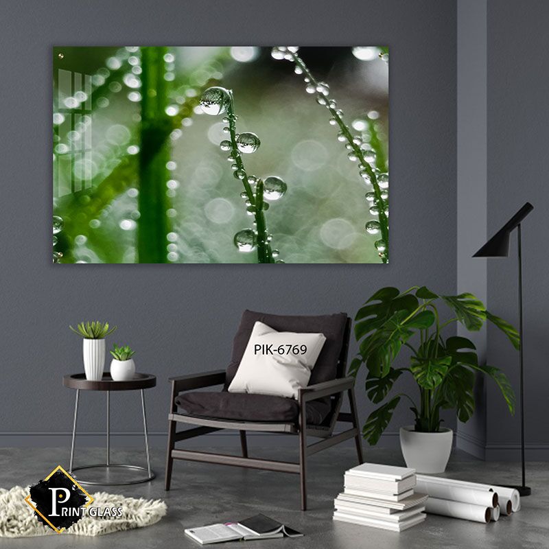 תמונה למשרד של טיפות טל על עלי דשא