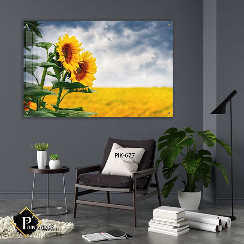 תמונה למשרד של שני חמניות גדולות בשדה צהוב