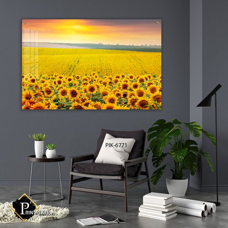 תמונה למשרד של שדה חמניות רחב תחת שקיעה חמה