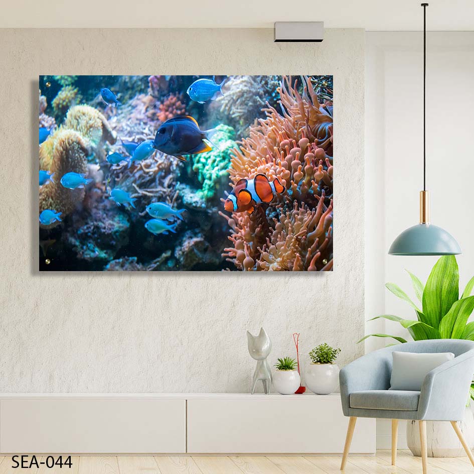 תמונה לסלון של אלמוגים ודגי נמו בים טרופי צבעוני